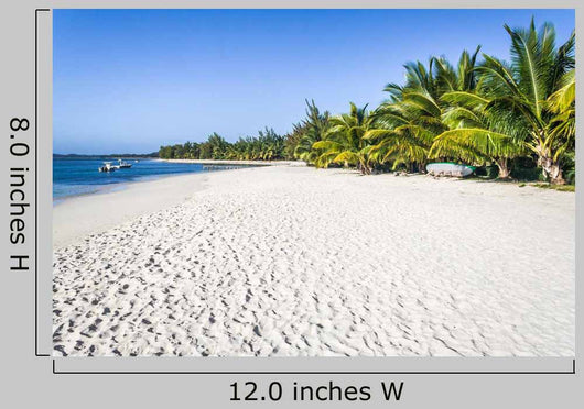 White Sand Beach Wall Mural