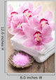 Spa and Bath with
