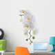 White Orchid White Wall Decal