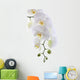 White Orchid White Wall Decal