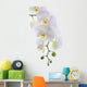 White Orchid White Wall Decal