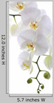 White Orchid White Wall Decal