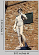 Statue David