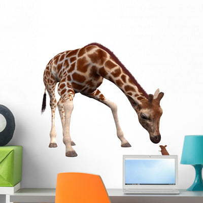 Curious Giraffe Looking Mouse Wall Mural shown on a wall