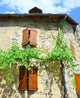 Rustic House Climbing Vine