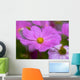 Lilac Flower Close-up Wall Mural