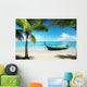 Sea Coconut Palms and