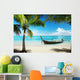Sea Coconut Palms and