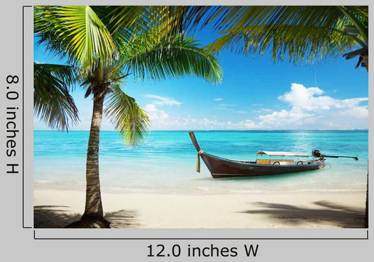 Sea Coconut Palms and
