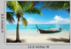 Sea Coconut Palms and