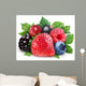 Collection Wild Berries with