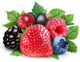 Collection Wild Berries with