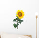 Sunflower Close-up Studio Wall Decal