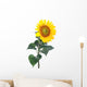 Sunflower Close-up Studio Wall Decal