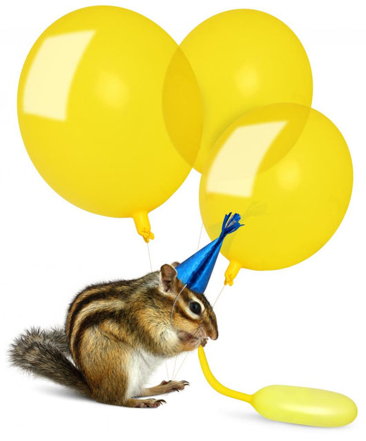 Funny Chipmunk Inflating Yellow Balloons Wall Decal