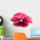 Pink Pansy Wall Mural