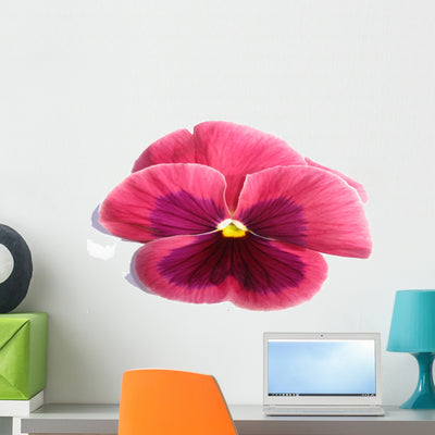 Pink Pansy Wall Mural shown on a wall