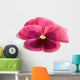 Pink Pansy Wall Mural