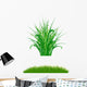 Grass