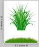 Grass