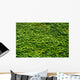 Abstract Texture Ivy Covered