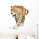 Jaguar, wild cat Panther. Vector, isolated Wall Decal