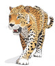 Jaguar, wild cat Panther. Vector, isolated Wall Decal