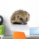 Hedgehog 1 Months Wall Decal