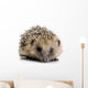 Hedgehog 1 Months Wall Decal