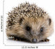 Hedgehog 1 Months Wall Decal