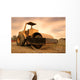 Construction Equipment Wall Mural