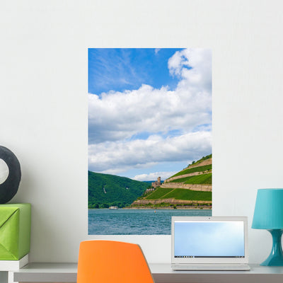 Rhein- Landscape with Vineyard shown on a wall