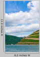 Rhein- Landscape with Vineyard