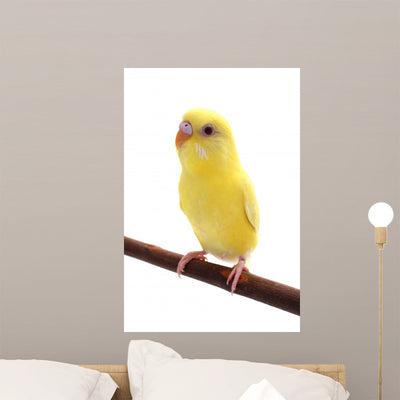 Bird Wall Decal shown on a wall
