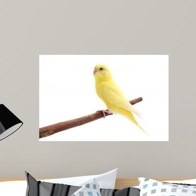 Bird Wall Decal shown on a wall