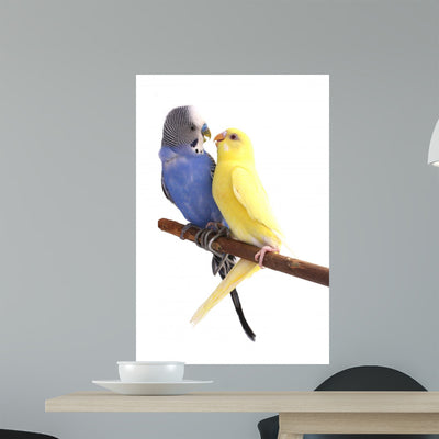 Bird shown on a wall