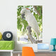 Parrot Wall Mural