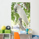 Parrot Wall Mural
