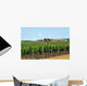 Vineyards Chianti-tuscany