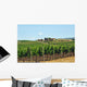 Vineyards Chianti-tuscany