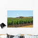Vineyards Chianti-tuscany
