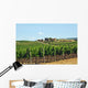 Vineyards Chianti-tuscany