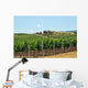 Vineyards Chianti-tuscany