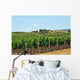 Vineyards Chianti-tuscany