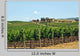 Vineyards Chianti-tuscany