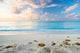 Caribbean Beach Playacar Mexico