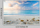 Caribbean Beach Playacar Mexico