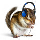 Funny chipmunk listening to music on headphones Wall Decal