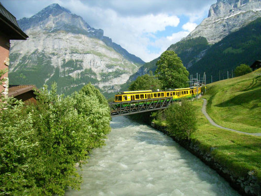 Train Ride Wall Mural