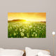 Dandelions Meadow during Sunset